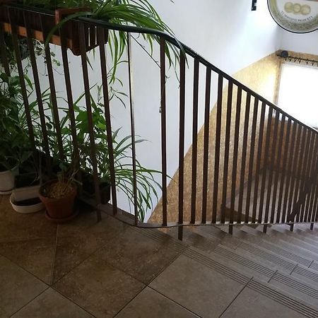 Dom Sportowca Roko Apartamento Gdańsk Exterior foto